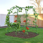 HIRALIY Cucumber Trellis for Climbing Plants, 4ft Tall, Green by HIRALIY