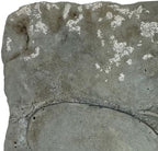 BestNest Athens Butterfly Stepping Stones, Cypress, Pack of 2 - Image 5