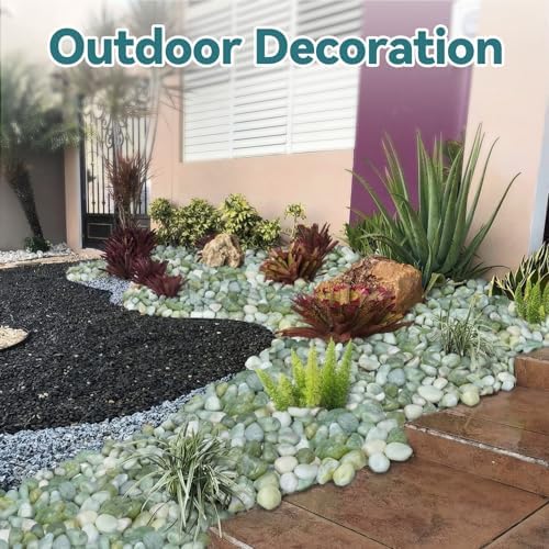 30lbs 1-2 Inch Jade Pebbles for Indoor Plants - Image 4