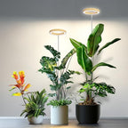 Kullsinss 6.3in Grow Lights for Indoor Plants, Full Spectrum Plant Light by HOME