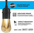 Enbrighten Seasons Vintage LED Café String Lights, 24ft, 12 Acrylic Bulbs, Color Changing, Indoor/Outdoor + UltraPro WiFi Plug, 2-Outlet Grounded - Image 2