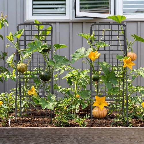 A-Frame Trellis for Climbing Plants Outdoor, 2 Pack Metal Garden Trellis - Image 7