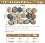 FANTIAN 20 lbs Large River Rocks for Outdoor Landscaping, 3-4 Inch Decorative Pebbles for Landscaping Garden Yard Paving Fish Tank Plant Crafting Walkways and Painting - Image 4