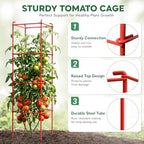 6-Pack 46inch Metal Tomato Cage for Garden Plant Support - Image 3