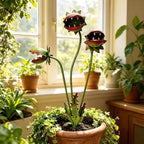 Metal Carnivorous Plant Garden Stakes,25 Inch Venus Flytrap Yard Art Sculpture,2 Pack Weatherproof Decor for Lawn Patio Pathway Planter Flower Bed,Whimsical Garden Ornament Gift(2PCS) - Image 6