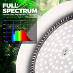 Barrina Grow Light Bulbs for Indoor Plants, 25W 5000K, 4H/9H/14H Timer - Image 6