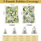 FANTIAN 20 lbs Jade River Rocks for Landscaping, 1-2 Inch Decorative Pebbles River Stones for Plants Indoor, Vases, Yard, Crafting and Garden - Image 3