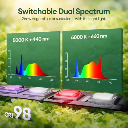 Maygrove Grow Lights for Indoor Plants, Tunable Spectrum 1FT LED Growing Lamp 56W (8 x 7W), T5 Grow Light Strip for Seed Starting, Vegetables, Linkable, Black, 8-Pack - Image 3