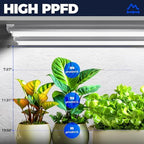 Barrina T8 Grow Light for Indoor Plant, Full Spectrum, 4FT 5000K, 4 Packs - Image 3
