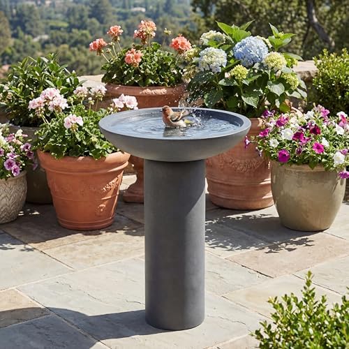 Christopher Knight Home Hanna 25.98" H Bird Bath for Outside, Minimalist Pedestal Bird Baths Bowl, Polyresin Bird Bath with Modern Style Design for Garden Decor & Bird Attraction, Gray by ChristopherKnightHome
