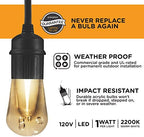 Enbrighten Vintage Outdoor String Lights, 48ft, 24 Bulbs, White Light Only - Image 5