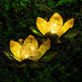AIINY Garden Solar Lights Outdoor(2Pack), Amber Crackle Globe Glass Lotus Decoration, Waterproof Orange Metal LED Flower Lights for Patio,Lawn,Walkway,Tabletop,Ground, Garden Gifts for Women by AIINY