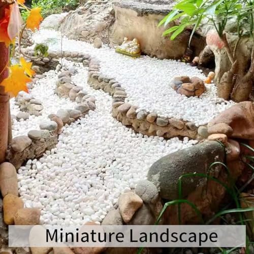 FANTIAN 10 lb White Pea Gravel for Landscaping, 3/8 Inch Pebble for Plant - Image 6