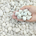 FANTIAN 10 lbs White River Rocks for Garden, 0.5-1 Inch Pebbles for Indoor Plants, Decorative Stones for Landscaping, Succulent, Vases, Aquariums and Zen Garden by FANTIAN-GardeningMakesLifeBetter