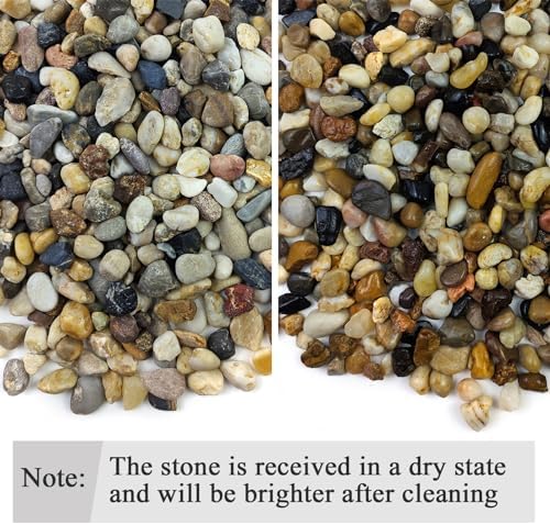 FANTIAN 10 lbs Pea Gravel for Landscaping, 2/5 Inch Size Mixed Color River Rocks for Aquarium, Succulent, Vase Fillers, Cactus Bonsai, Plant Soil Cover and Outdoor Garden Rocks. - Image 3