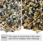 FANTIAN 10 lbs Pea Gravel for Landscaping, 2/5 Inch Size Mixed Color River Rocks for Aquarium, Succulent, Vase Fillers, Cactus Bonsai, Plant Soil Cover and Outdoor Garden Rocks. - Image 3