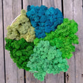 Preserved Reindeer Moss Natural Green DIY Kit Gardenning Art Wall Decor Florist Decor Easter Table Decor Wedding by %E7%8E%B0%E5%9C%A8%E8%B4%AD%E4%B9%B0