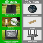 8 Pack Solar Pathway Lights Outdoor,IP65 Waterproof - Bright Solar Lights Outdoor,Auto On/Off Pathway Lights Solar Powered,Solar Path Lights for Walkway Driveway Garden - Image 2