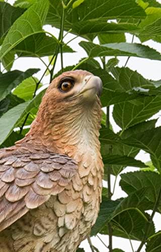 HI-LINE Wild Hawk Standing on Branch Garden Statue - Image 2