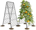 50"x17" Heavy Duty Metal Garden Trellis - Rust-Proof A-Frame Cucumber Trellis with High-Density Rhombus SteelGrats for Climbing Plants, Tomatoes & Raised Beds, Outdoor Use (2 Pack) by PyraLineHome