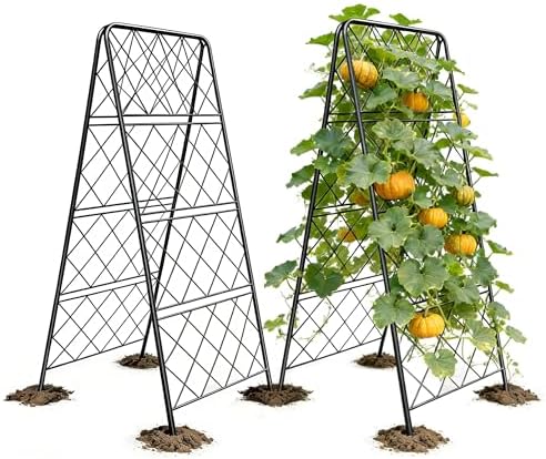 50"x17" Heavy Duty Metal Garden Trellis - Rust-Proof A-Frame Cucumber Trellis with High-Density Rhombus SteelGrats for Climbing Plants, Tomatoes & Raised Beds, Outdoor Use (2 Pack) by PyraLineHome