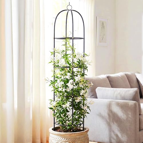 Metal Trellis for Climbing Plants Outdoor, 2026 Upgrade 100% Metal with Powder Coating, Rose, Flowers, Grape, Pea, Cucumber Tomato Cage - 6.3 FT Freestanding Plant Support - Image 2