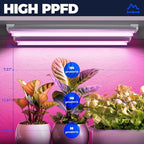 Barrina T8 LED Grow Light, 2FT Full Spectrum Plant Lights, Pink, 6 Packs - Image 3