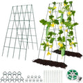 RIFNY Cucumber Trellis for Raised Bed, Garden Trellis 16.5 x 40 Inch, Green by RIFNY