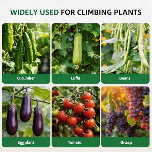 5.3x5.3FT Garden Arch Trellis for Raised Beds, Plant Support for Cucumbers, Melons, Vegetables, Peas, Tomatoes,﻿ & Climbing Vegetables, Outdoor Rust-Resistant Trellis - Image 3