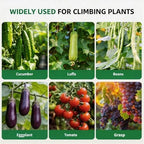 5.3x5.3FT Garden Arch Trellis for Raised Beds, Plant Support for Cucumbers, Melons, Vegetables, Peas, Tomatoes,﻿ & Climbing Vegetables, Outdoor Rust-Resistant Trellis - Image 3