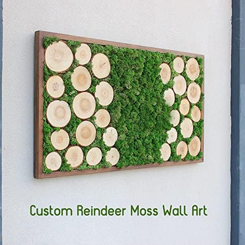 Preserved Reindeer Moss Natural Green DIY Kit Gardenning Art Wall Decor Florist Decor Easter Table Decor Wedding - Image 5