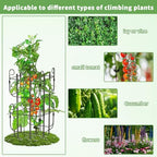 8 Pack Trellis for Climbing Plants Indoor, Expandable Heavy-Duty Metal Trellis for Potted Plants Outdoor, Flowers Vine Ivy, Sturdy Houseplant Pothos Plant Climber Support - Image 3