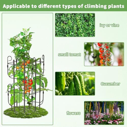 8 Pack Trellis for Climbing Plants Indoor, Expandable Heavy-Duty Metal Trellis for Potted Plants Outdoor, Flowers Vine Ivy, Sturdy Houseplant Pothos Plant Climber Support - Image 3