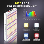 KingLED KP3000 Grow Light for Indoor Plants, Full Spectrum Plant Grow Light - Image 2