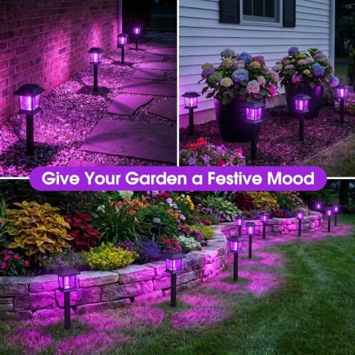 Greluna Solar Lights Outdoor,12 Pack Purple Waterproof Auto On/Off Solar Pathway Lights for Your Garden, Landscape, Path, Yard, Patio, Driveway,Walkway Halloween Decor - Image 5