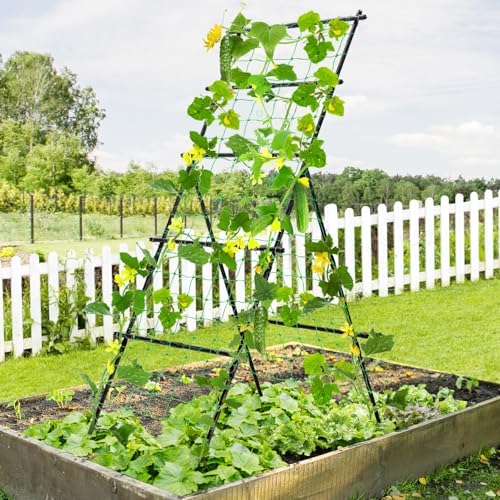 Cucumber Trellis A Frame Garden Trellis 31 x 26 x 75 in - Image 2