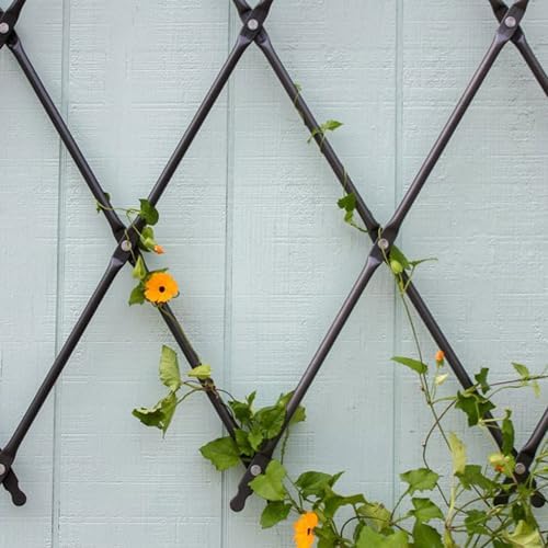 Achla FT-32G Designs Wall Mounted Lattice Garden Trellis, Graphite - Image 4