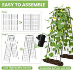 Garden Trellis for Cucumbers, 50” x 16“ Adjustable A-Frame Plant Support for Climbing Plants Outdoor, Vegetable, Flowers, 2 Pack Heavy Duty 1cm Metal Vegetable Trellis for Backyard, Raised Bed, Patio - Image 6