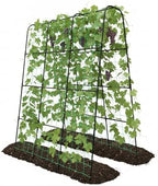 Cucumber Trellis for Raised Bed with Plastic Coated Steel Pipe-63"*50",Blk by TrellumeGardenHome