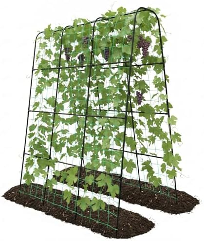 Cucumber Trellis for Raised Bed with Plastic Coated Steel Pipe-63"*50",Blk by TrellumeGardenHome