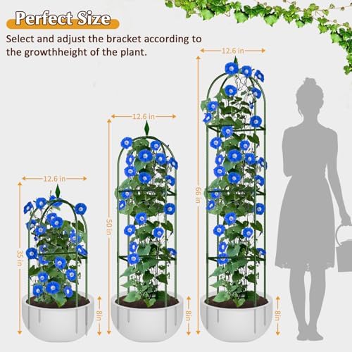 Garden Trellis for Climbing Plants, Tomato Cage, Rose, Flowers, Grape, Pea, Cucumber Trellis, Rustproof Plastic Coated Metal Plant Support for Potted Plants Indoor Outdoor - 2PC Plant Trellis - Image 6