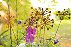 Rusty Metal Flowers, Garden Art, 9-Piece Set, Flower Sculpture, Wedding Table Arrangement, Yard Artwork - Image 5