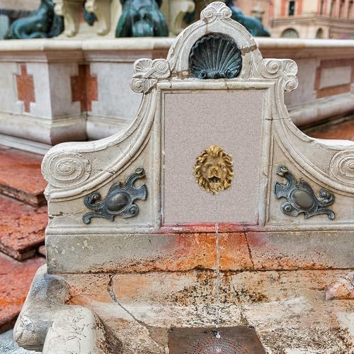 2pcs Outdoor Water Fountain Spout - Wall Mounted Lion Sculpture Fountain Nozzle for Pools Ponds and Garden Decor - Animal Head Nozzle - Image 6