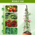 AlisisFores Garden Trellis, 63 inch Tall, 2 PCS - Image 5