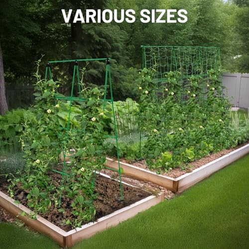 Large A-Frame Garden Trellis for Tomatoes, Cucumbers & Heavy Climbing Plants - Rust-Resistant, Heavy-Duty Steel, Perfect for Outdoor Gardens & Vertical Gardening(47" W x 63" H) - Image 7