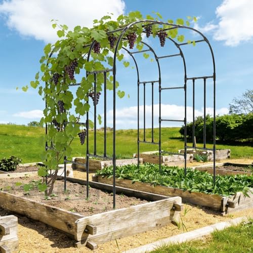 Garden Arch Trellis - 69"L*71"W*87"H, Trellis for Climbing Plants Outdoor - Image 7