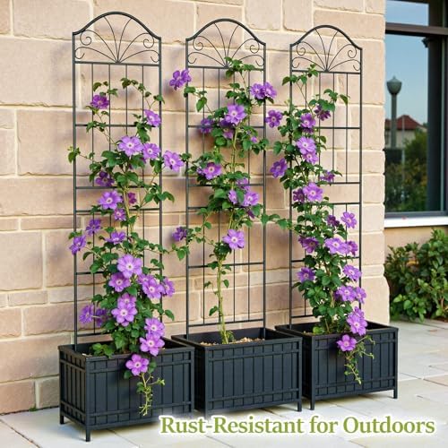 VOXOR Metal Trellis for Climbing Plants Outdoor, 70 * 19.7 Inch Tall Garden Trellis with Black Rustproof Coating, Decorative Rose Trellis for Climbing Roses, Vines, and Flowers, 2 Pack - Image 5