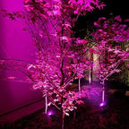 Solar Landscape Lights, 4 LED Solar Spotlights 2 in 1 Waterproof Security Light Solar Lights Outdoor for Tree,Patio,Yard (Pink) - Image 3
