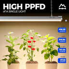 Barrina TX-S60 4FT Grow Light, 240W(4 x 60W, 1680W Equivalent), Timer - Image 3