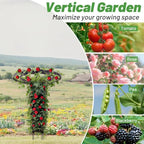 Umbrella Top Garden Trellis for Climbing Plants Outdoor, 3.7FT Tall Obelisk - Image 6